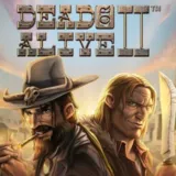 Dead or Alive II slots